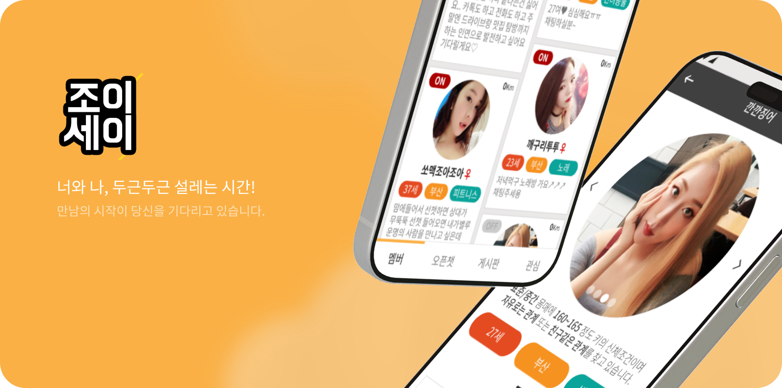 조이세이